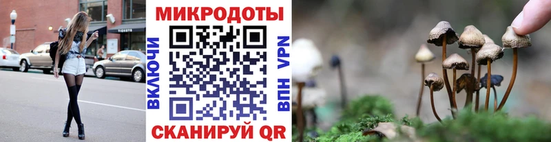 кракен онион  Гаврилов Посад  Галлюциногенные грибы Magic Shrooms 